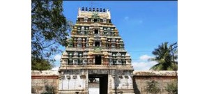 234. திருப்புறவார் பனங்காட்டூர்